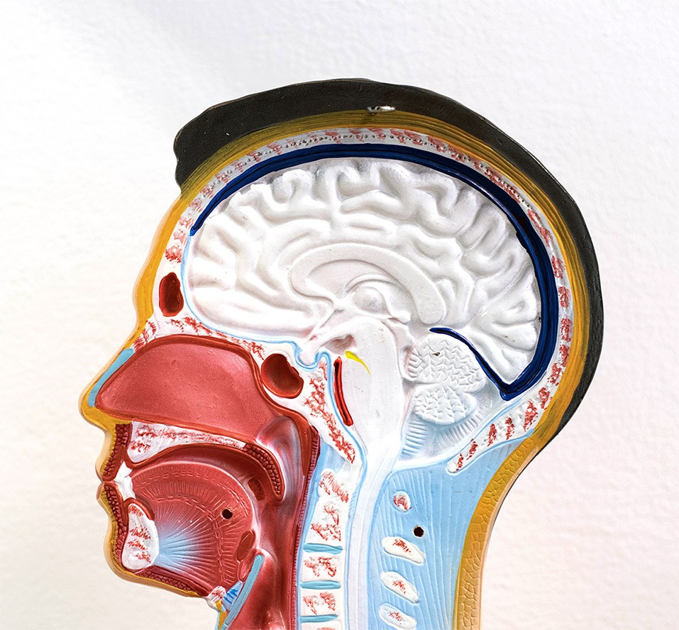 Krakowska Spółdzielnia Pracy Oświata