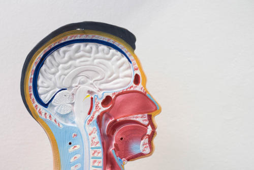 Policealna Szkoła Medyczna